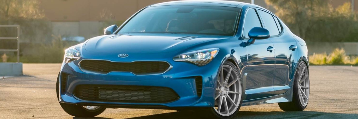Hail Damage Repair kia stinger Infiniti certified collision repair line up of Infiniti models